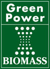 green electric power