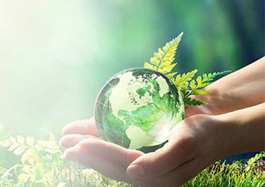 サステナビリティ