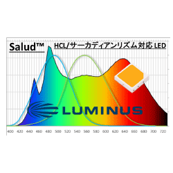 https://www.marubun.co.jp/wp-content/uploads/a7ijkd000000himw/a7ijkd000000hipj.gif